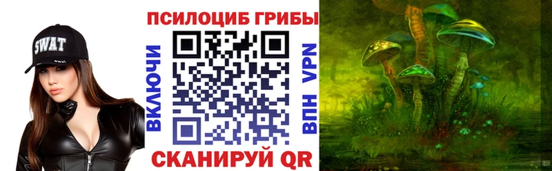 где продают наркотики  Ачхой-Мартан  Псилоцибиновые грибы ЛСД 